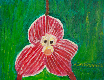 "Monkey Faced Orchid"